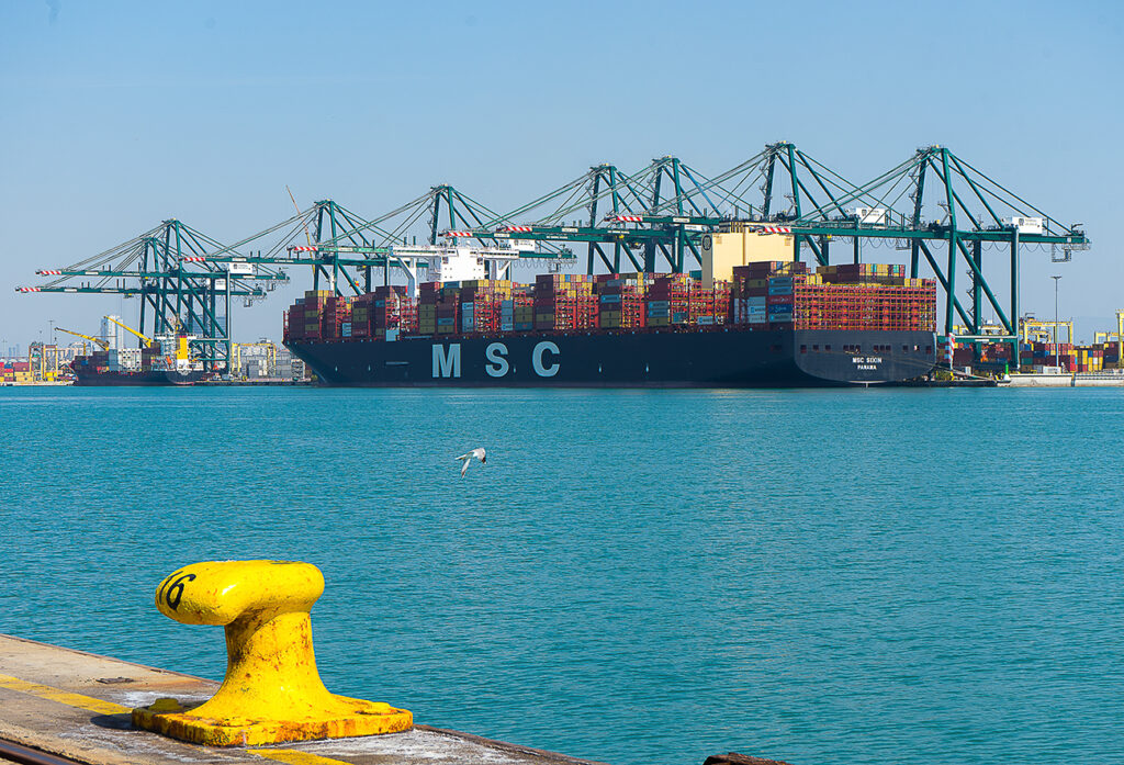 Australia, Vietnam, and Bangladesh lead the traffic increases at Valenciaport in January.
