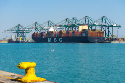 Australia, Vietnam, and Bangladesh lead the traffic increases at Valenciaport in January.