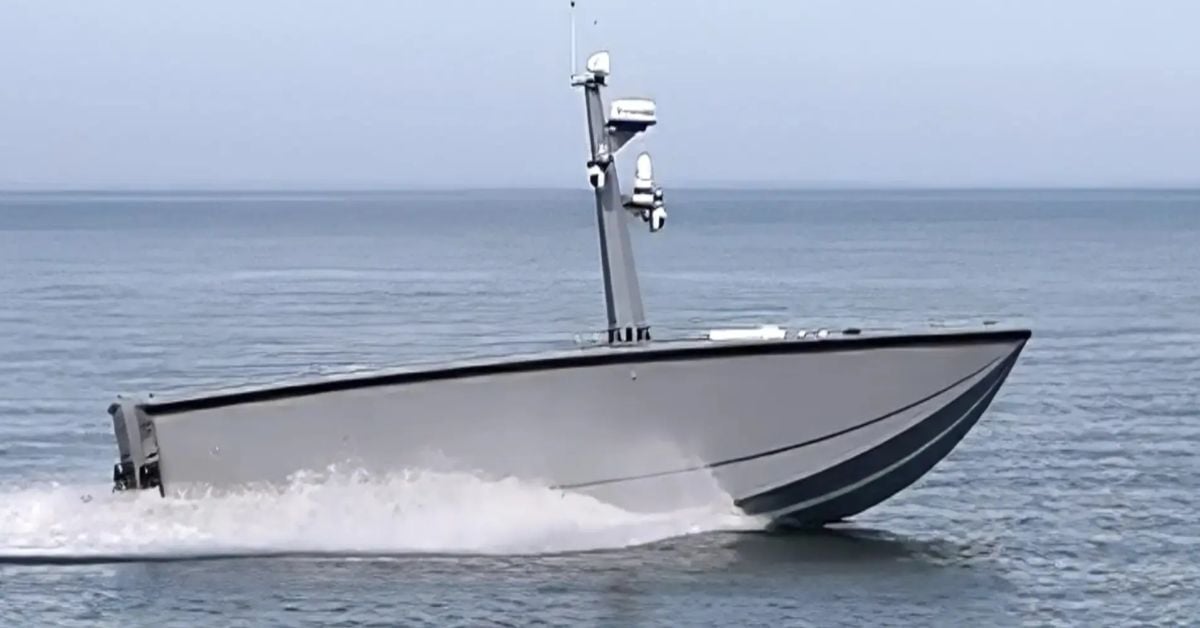 devil ray usv